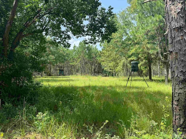 0 Nokomis Rd, Walnut Hill FL, 32568 land for sale