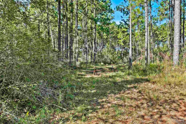 0 Nokomis Rd, Walnut Hill, FL 32568