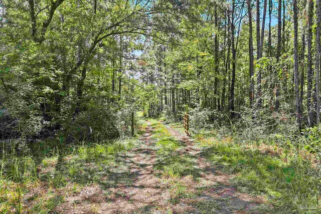 0 Nokomis Rd, Walnut Hill, FL 32568