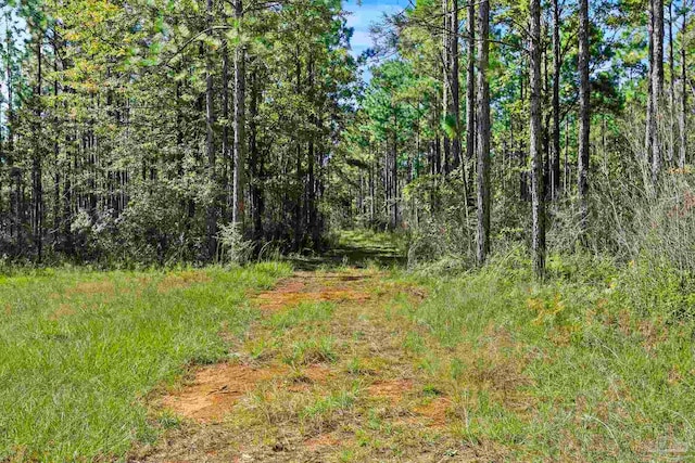 0 Nokomis Rd, Walnut Hill, FL 32568