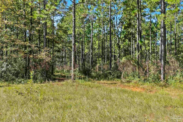 0 Nokomis Rd, Walnut Hill, FL 32568