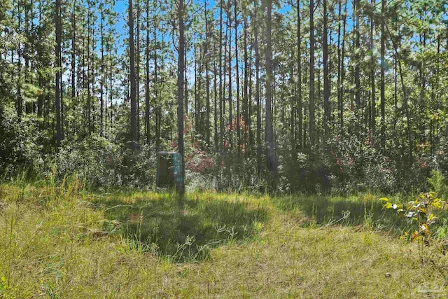 0 Nokomis Rd, Walnut Hill, FL 32568