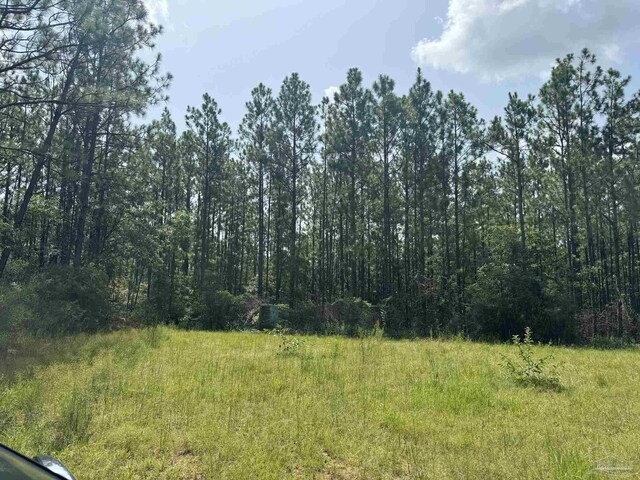 0 Nokomis Rd, Walnut Hill, FL 32568