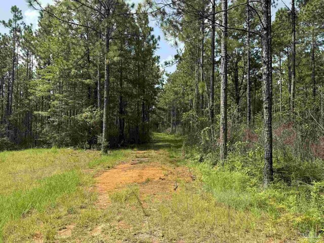 0 Nokomis Rd, Walnut Hill, FL 32568