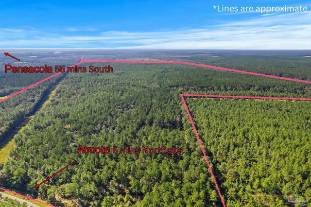 0 Nokomis Rd, Walnut Hill, FL 32568