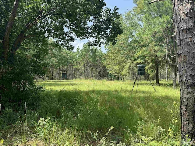 0 Nokomis Rd, Walnut Hill, FL 32568
