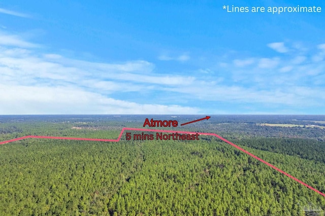 0 Nokomis Rd, Walnut Hill, FL 32568