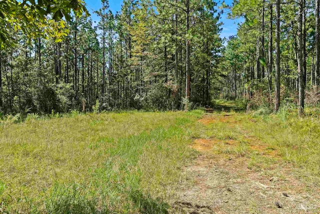 0 Nokomis Rd, Walnut Hill, FL 32568