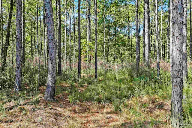 0 Nokomis Rd, Walnut Hill, FL 32568