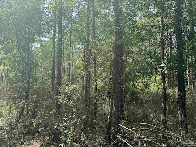 0 Nokomis Rd, Walnut Hill, FL 32568
