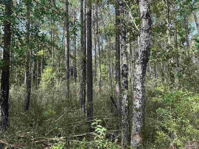 0 Nokomis Rd, Walnut Hill, FL 32568