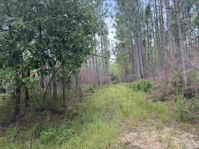 0 Nokomis Rd, Walnut Hill, FL 32568