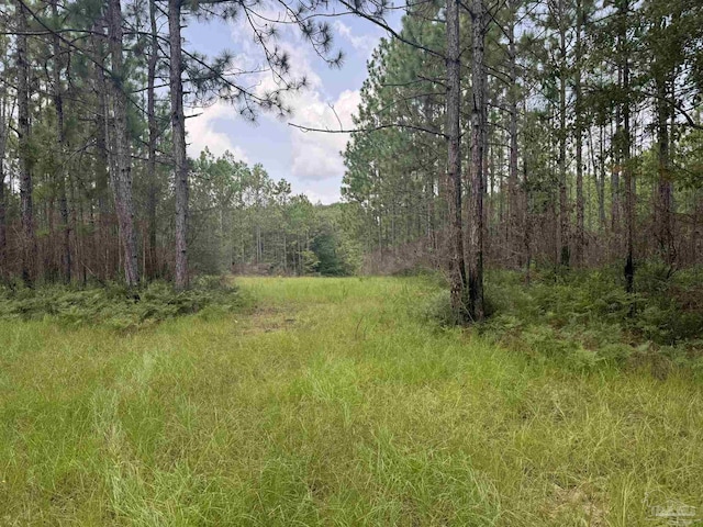0 Nokomis Rd, Walnut Hill, FL 32568