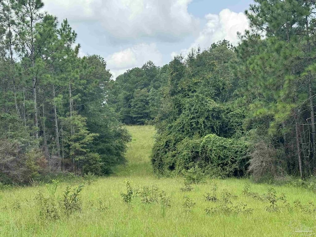 0 Nokomis Rd, Walnut Hill, FL 32568