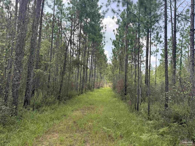 0 Nokomis Rd, Walnut Hill, FL 32568