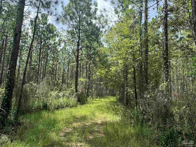 0 Nokomis Rd, Walnut Hill, FL 32568