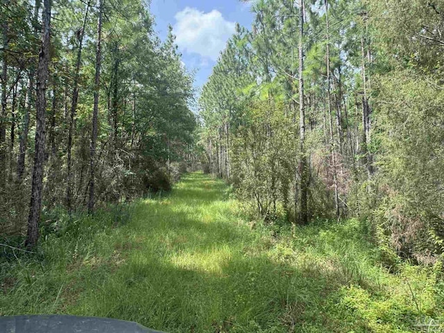 0 Nokomis Rd, Walnut Hill, FL 32568
