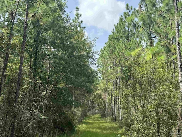 0 Nokomis Rd, Walnut Hill, FL 32568