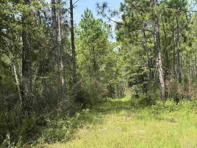 0 Nokomis Rd, Walnut Hill, FL 32568