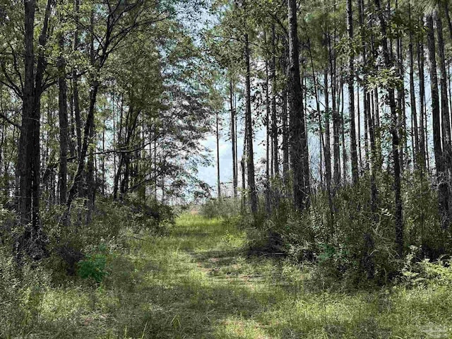 0 Nokomis Rd, Walnut Hill, FL 32568