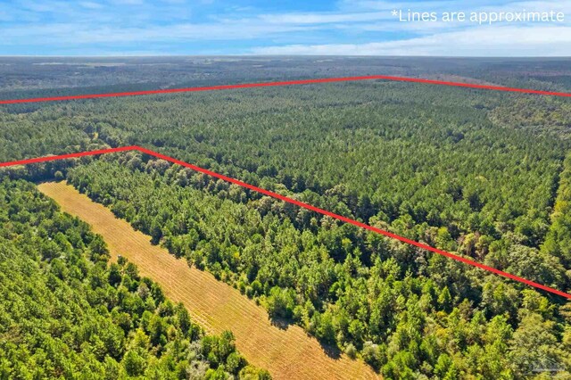 0 Nokomis Rd, Walnut Hill, FL 32568