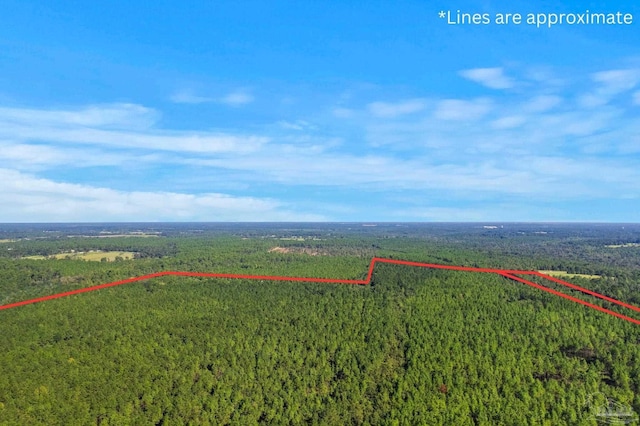 0 Nokomis Rd, Walnut Hill, FL 32568