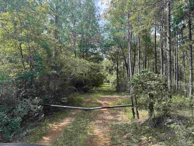 0 Nokomis Rd, Walnut Hill, FL 32568