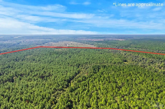 0 Nokomis Rd, Walnut Hill, FL 32568