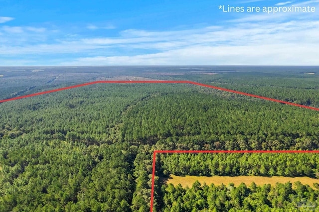 0 Nokomis Rd, Walnut Hill, FL 32568