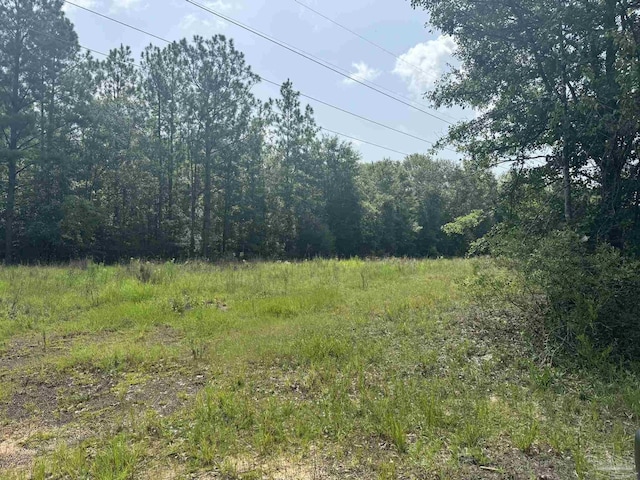 0 Nokomis Rd, Walnut Hill, FL 32568