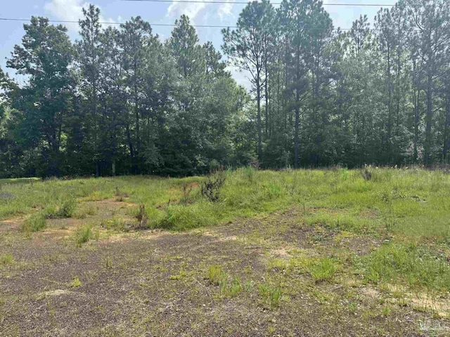 0 Nokomis Rd, Walnut Hill, FL 32568