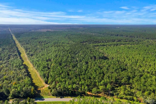 0 Nokomis Rd, Walnut Hill, FL 32568