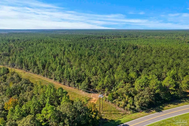 0 Nokomis Rd, Walnut Hill, FL 32568