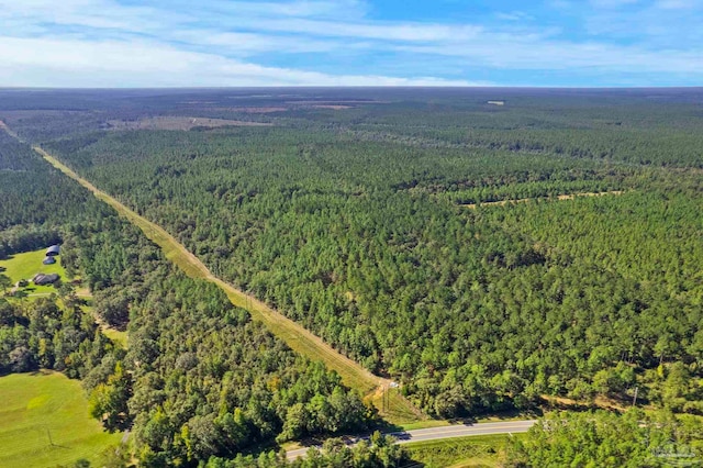 0 Nokomis Rd, Walnut Hill, FL 32568