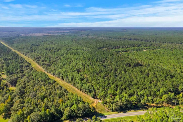 0 Nokomis Rd, Walnut Hill, FL 32568