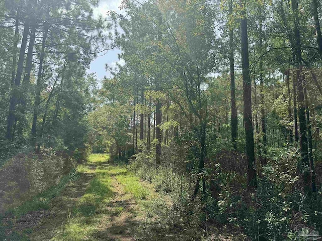 0 Nokomis Rd, Walnut Hill, FL 32568