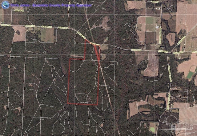 0 Nokomis Rd, Walnut Hill, FL 32568