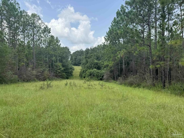 0 Nokomis Rd, Walnut Hill, FL 32568