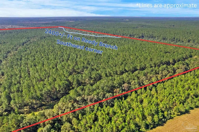 0 Nokomis Rd, Walnut Hill, FL 32568