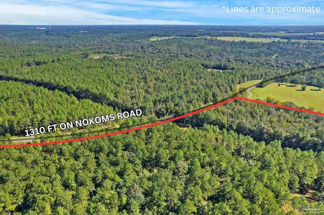 0 Nokomis Rd, Walnut Hill, FL 32568