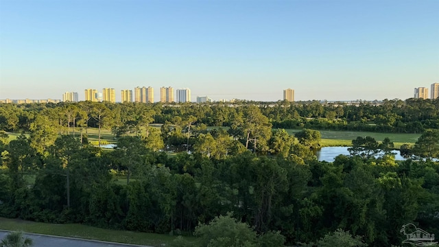 city view featuring a large body of water and a tree filled landscape