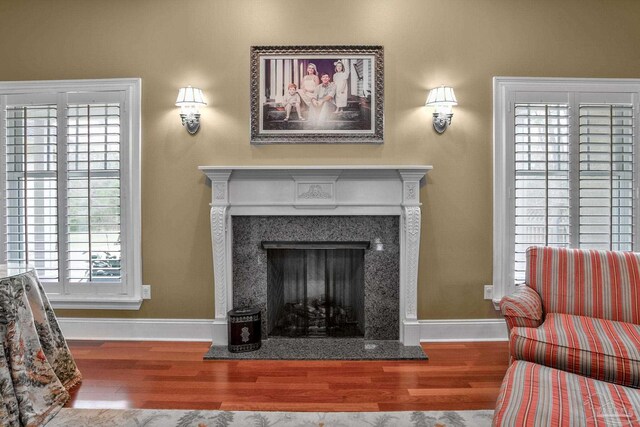 living room with wood-type flooring