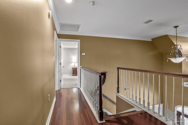 corridor with crown molding, an inviting chandelier, and dark hardwood / wood-style flooring