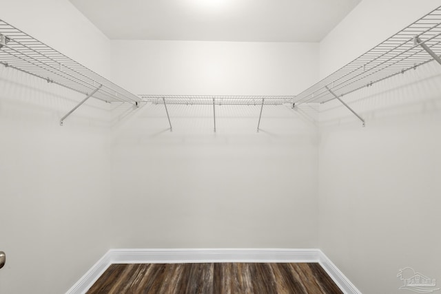 spacious closet featuring dark wood-style floors