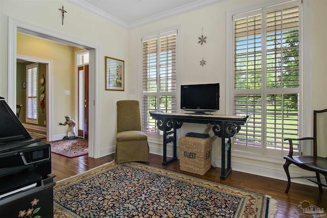607 Goodwill Cir, Silas, AL 36919 - office space featuring hardwood / wood-style flooring, ornamental molding, and baseboards