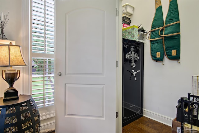 607 Goodwill Cir, Silas, AL 36919 - foyer entrance featuring wood finished floors and baseboards