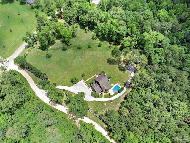 607 Goodwill Cir, Silas, AL 36919 - aerial view of property's location