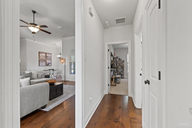 corridor with crown molding and dark wood-type flooring