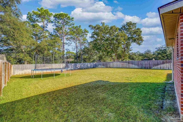 view of yard featuring a trampoline