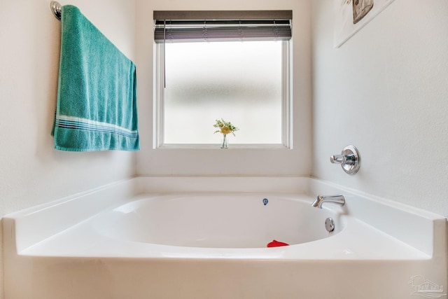 bathroom with a healthy amount of sunlight and a bath